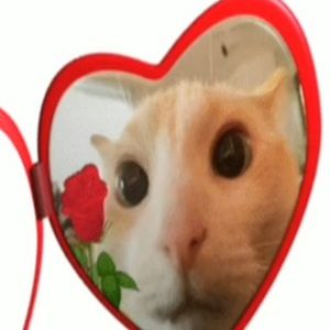 Meet your Posher, Trâm